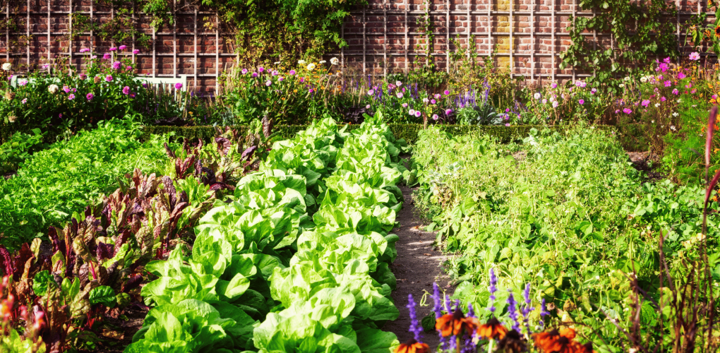 Comment créer un jardin nourricier à Pornic ?