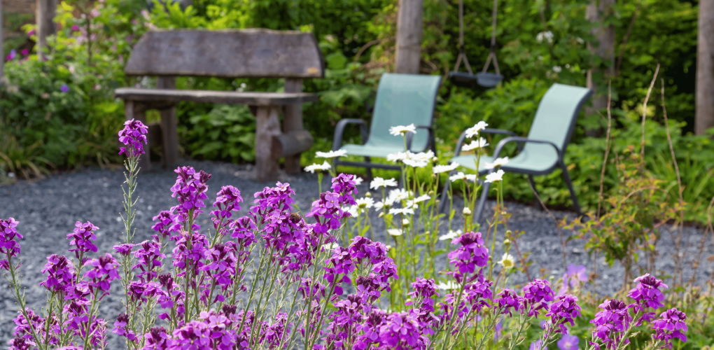 Comment créer un jardin naturel sans entretien à Saint-Nazaire ?